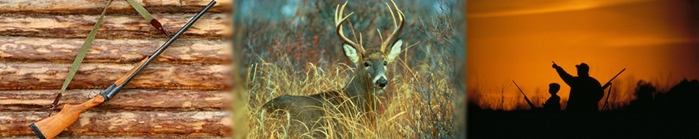 Slider 9